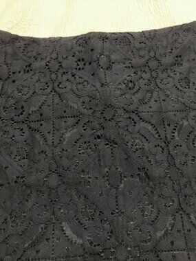 Banana Republic Black Lace Skirt